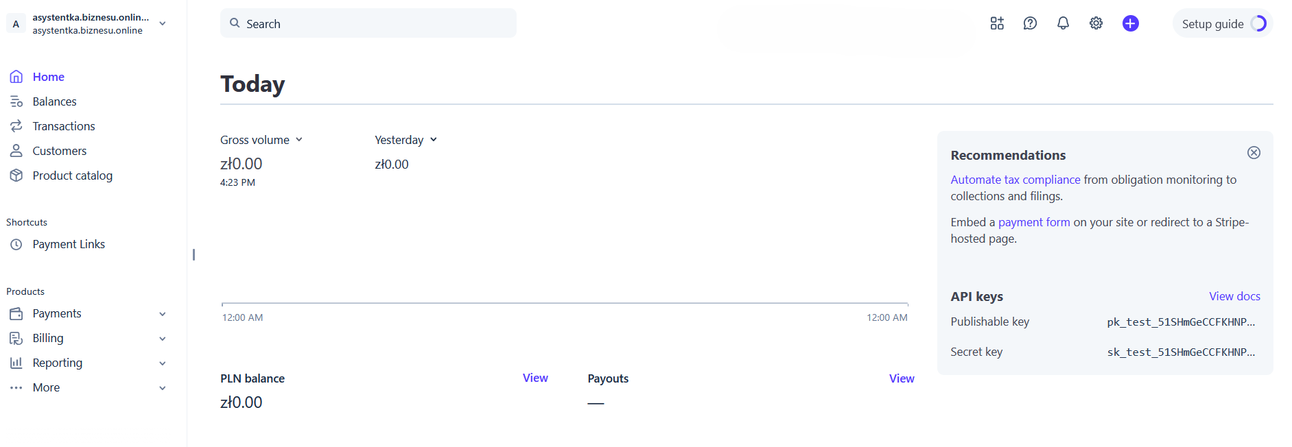 jak skonfigurować stripe – – widok konta po zalogowaniu